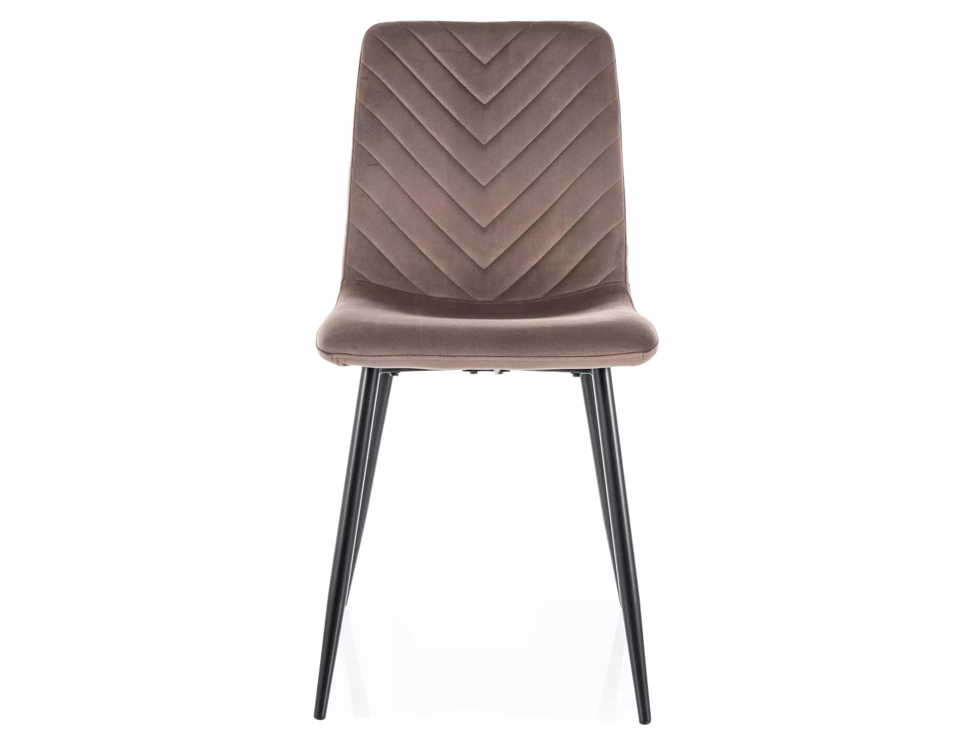 Стул SIGNAL DAREN Velvet Bluvel 38 капучино/черный
