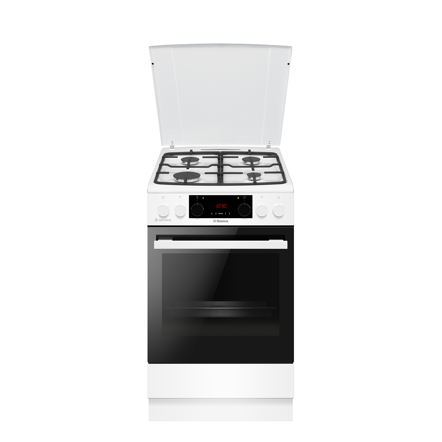 Газоэлектрическая плита Hansa FCMW59329