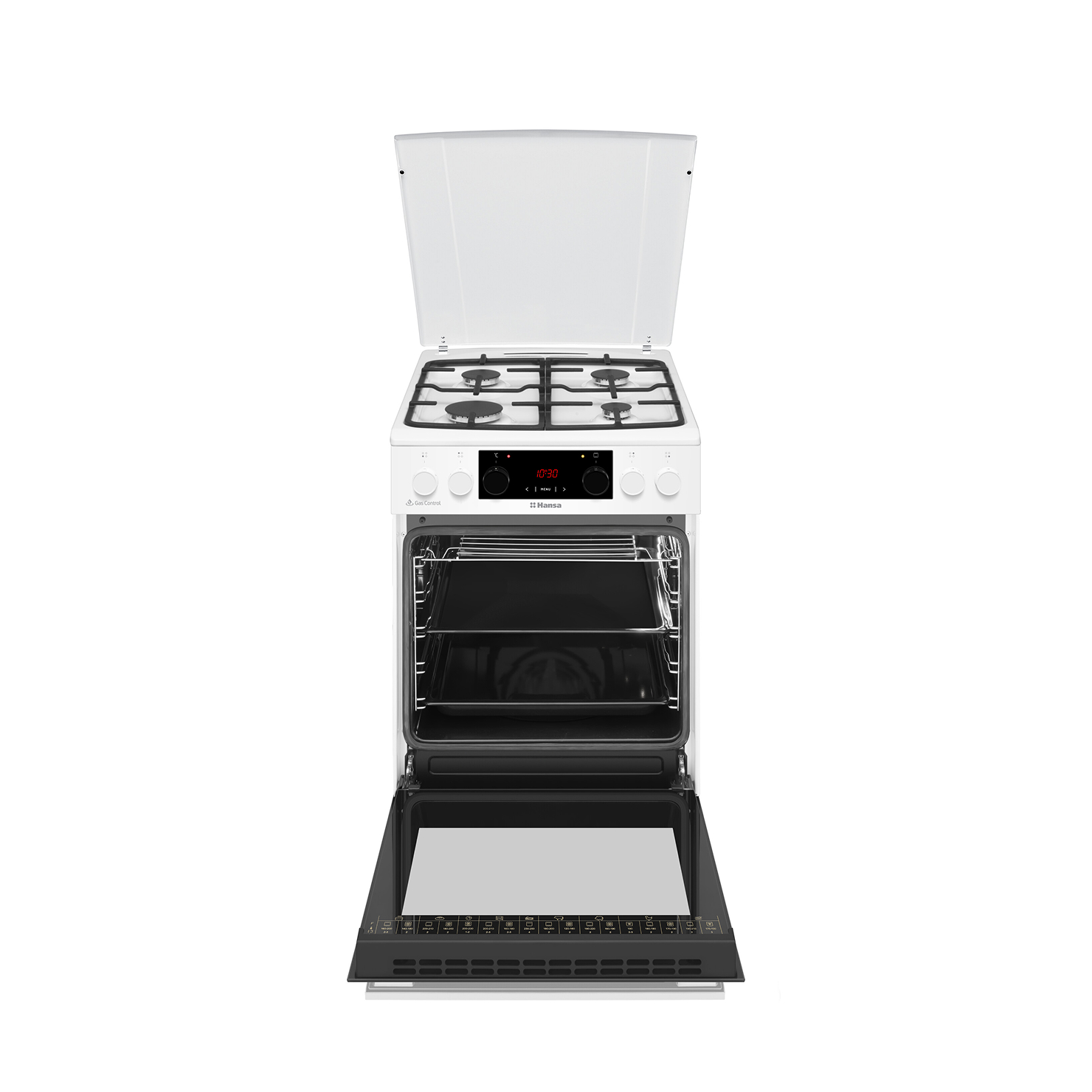 Газоэлектрическая плита Hansa FCMW59329