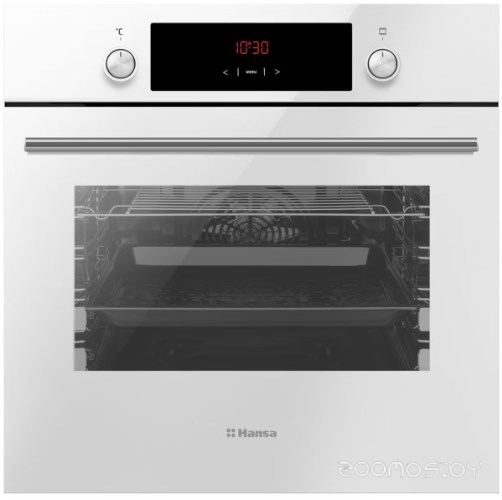 Духовой шкаф Hansa BOEW68441
