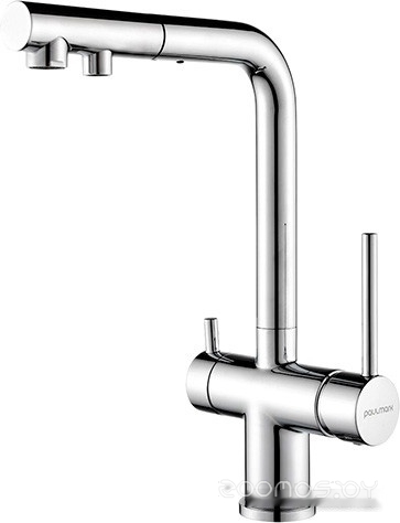 Paulmark Serpentine SE213222-CR (хром)