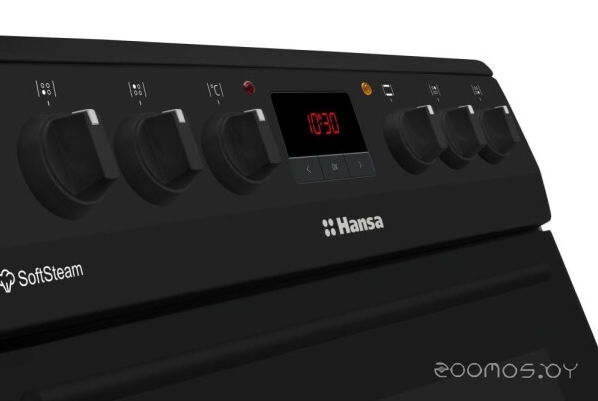 Hansa FCCM58209H